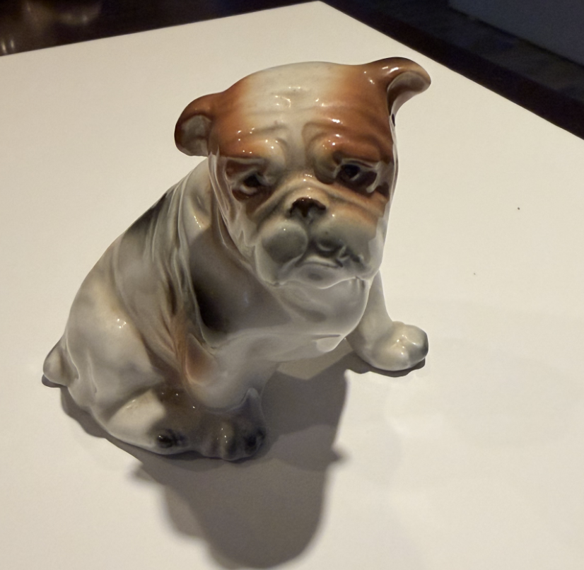 The Distinguished Bulldog