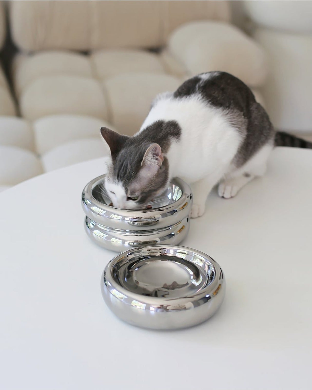 Elevated Halo Pet Bowl