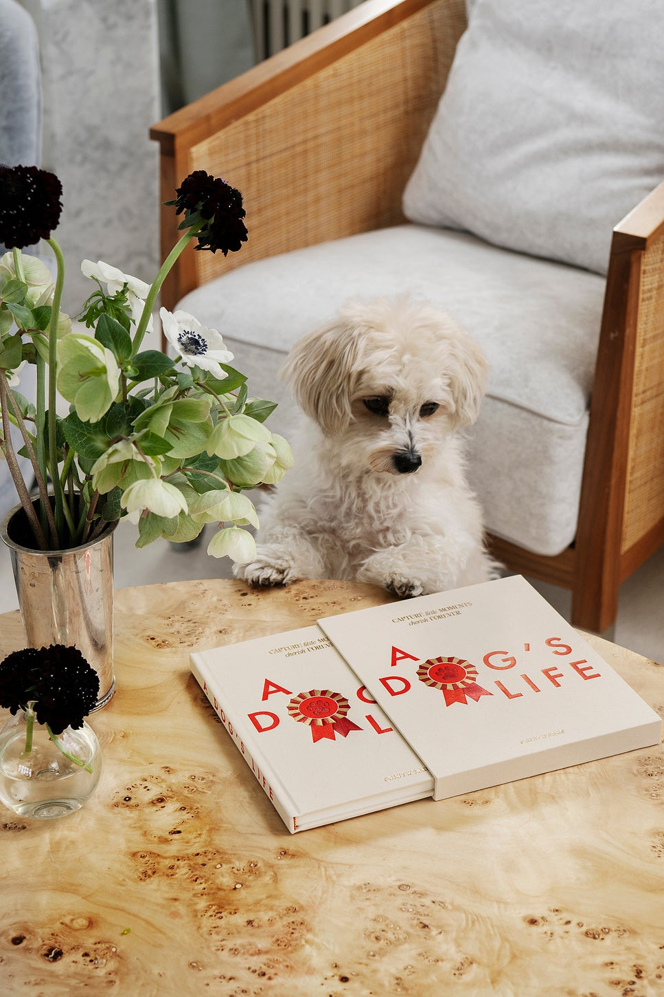 A Dog's Life Dog Journal