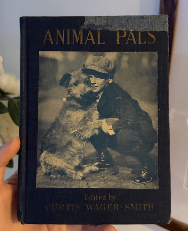 Animal Pals: A Vintage Children's Book