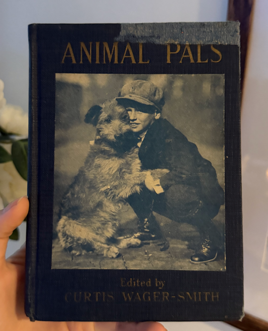 Animal Pals: A Vintage Children's Book