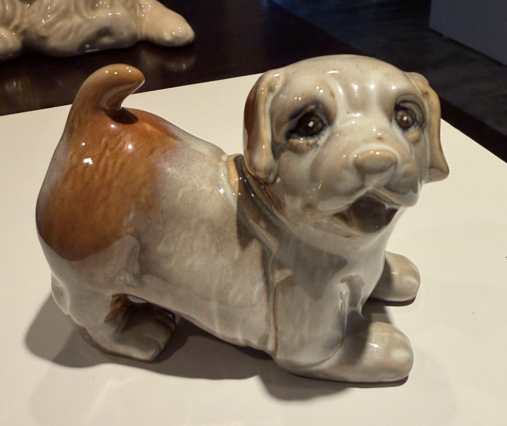 Chunky Puppy
