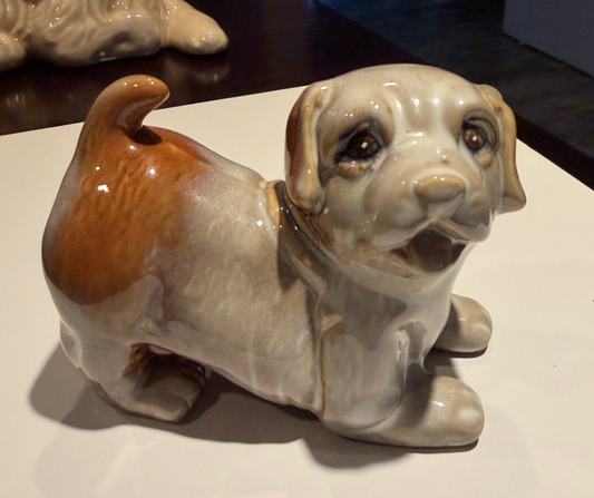 Chunky Puppy