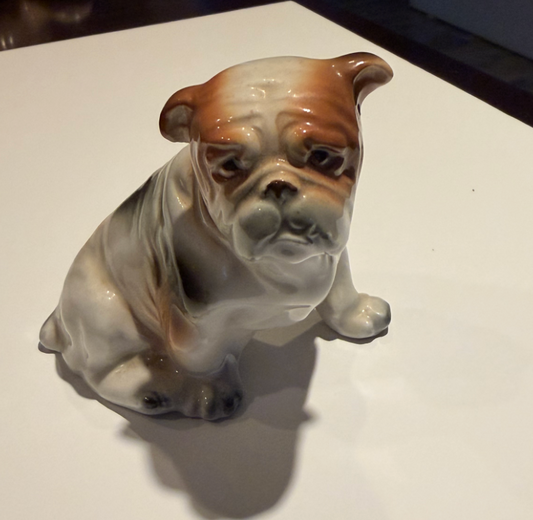 The Distinguished Bulldog