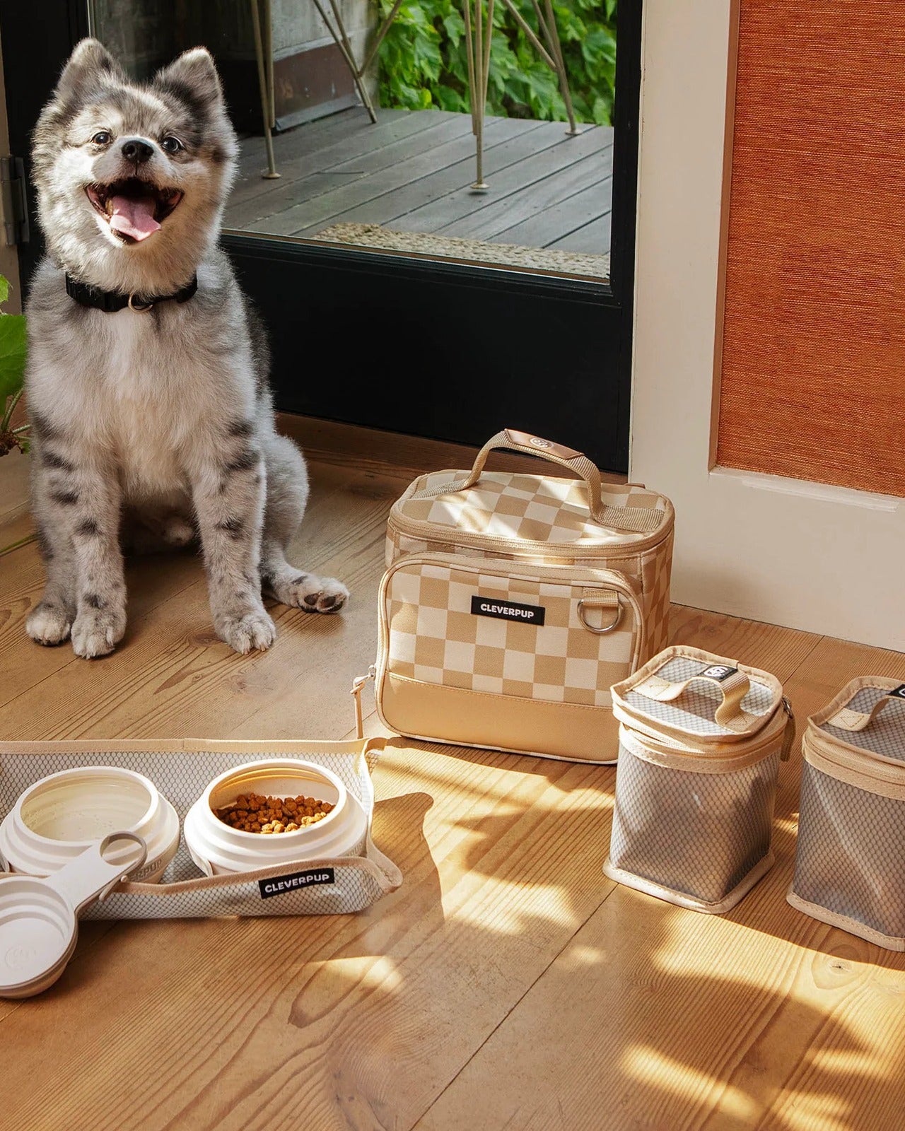 Bistro Box Dog Food Travel Kit