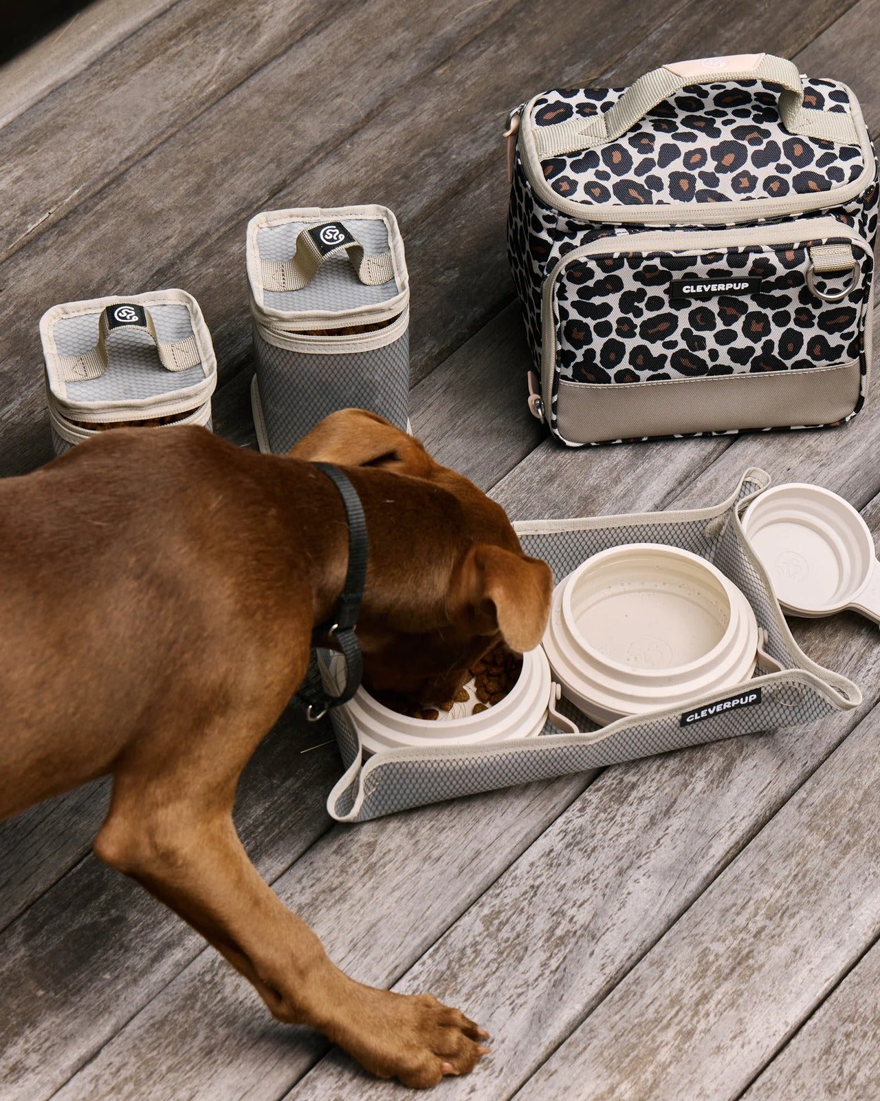 Bistro Box Dog Food Travel Kit
