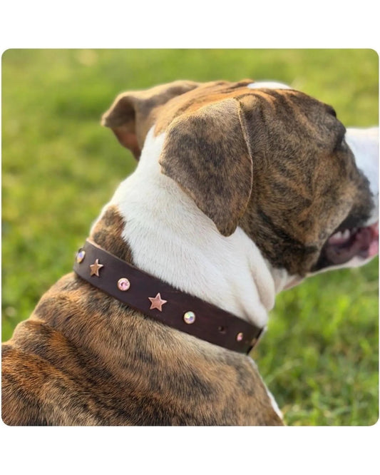 Bling Dog Collar / Leash Set