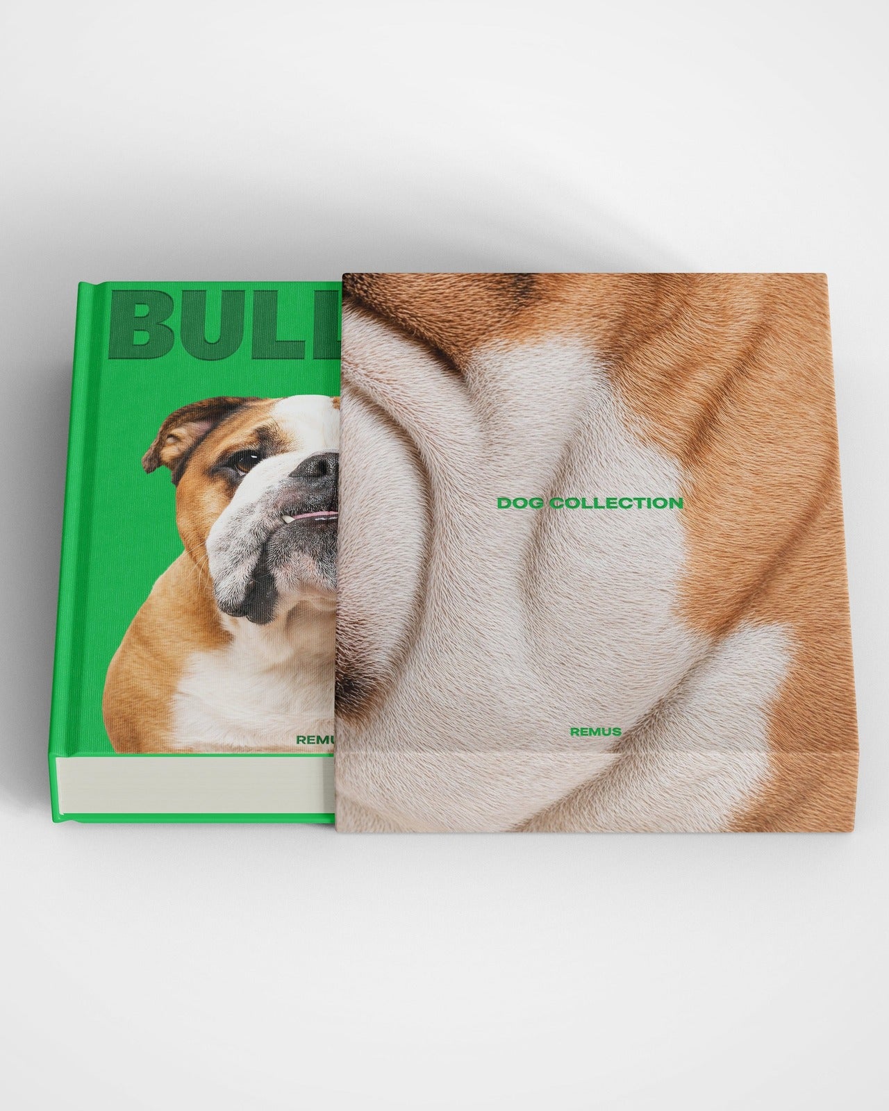 BULLDOG