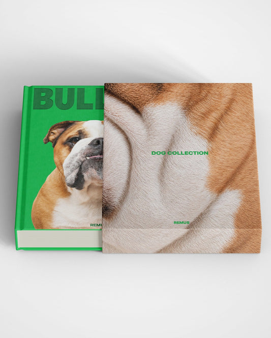 BULLDOG