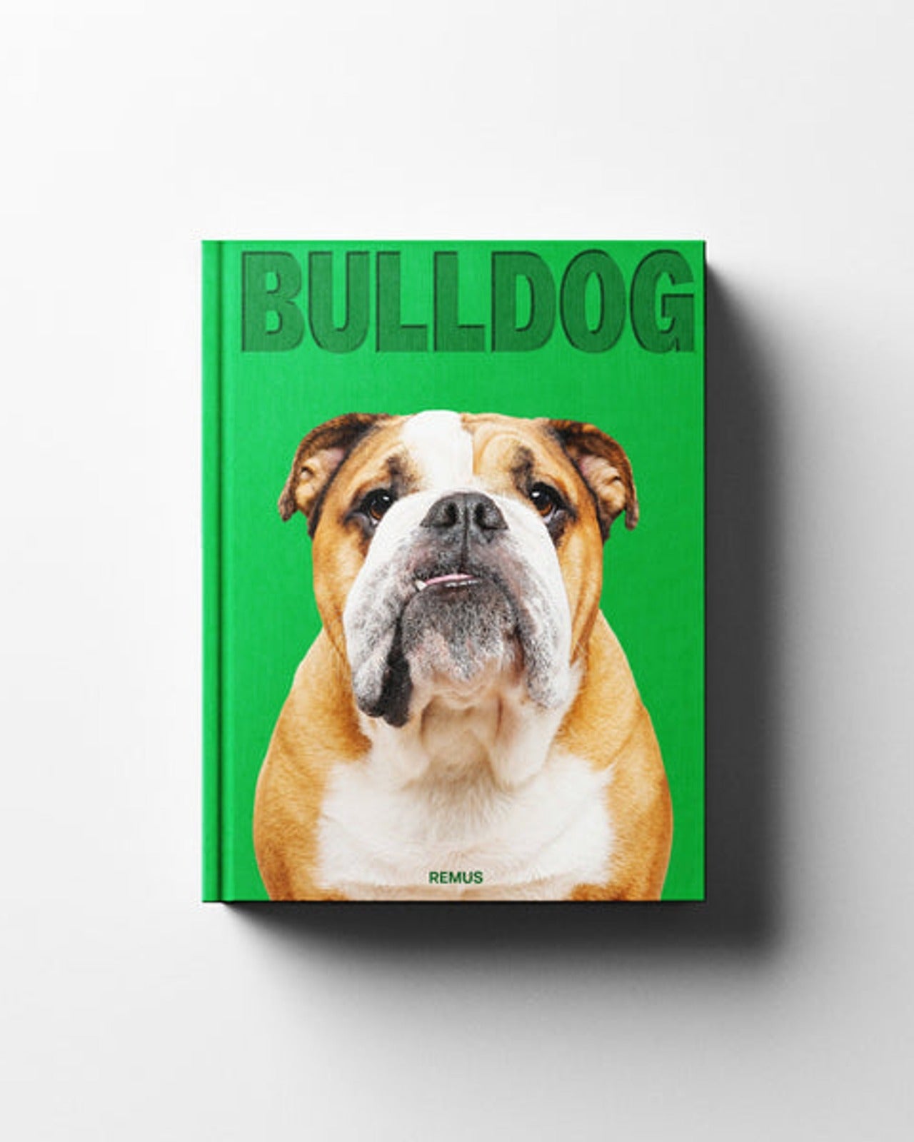 BULLDOG
