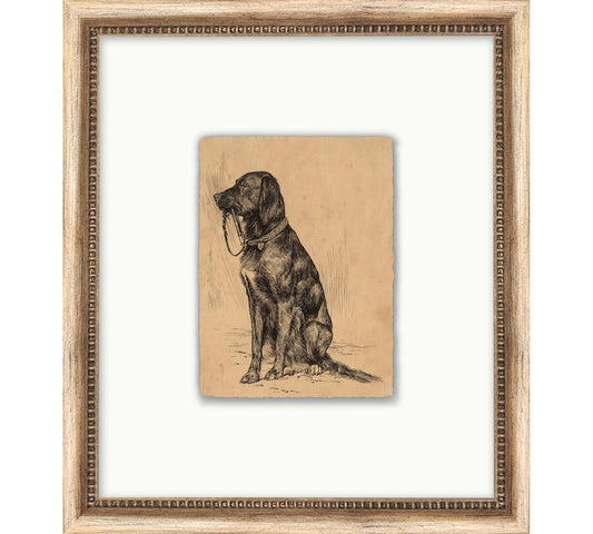 Good Boy Framed Print