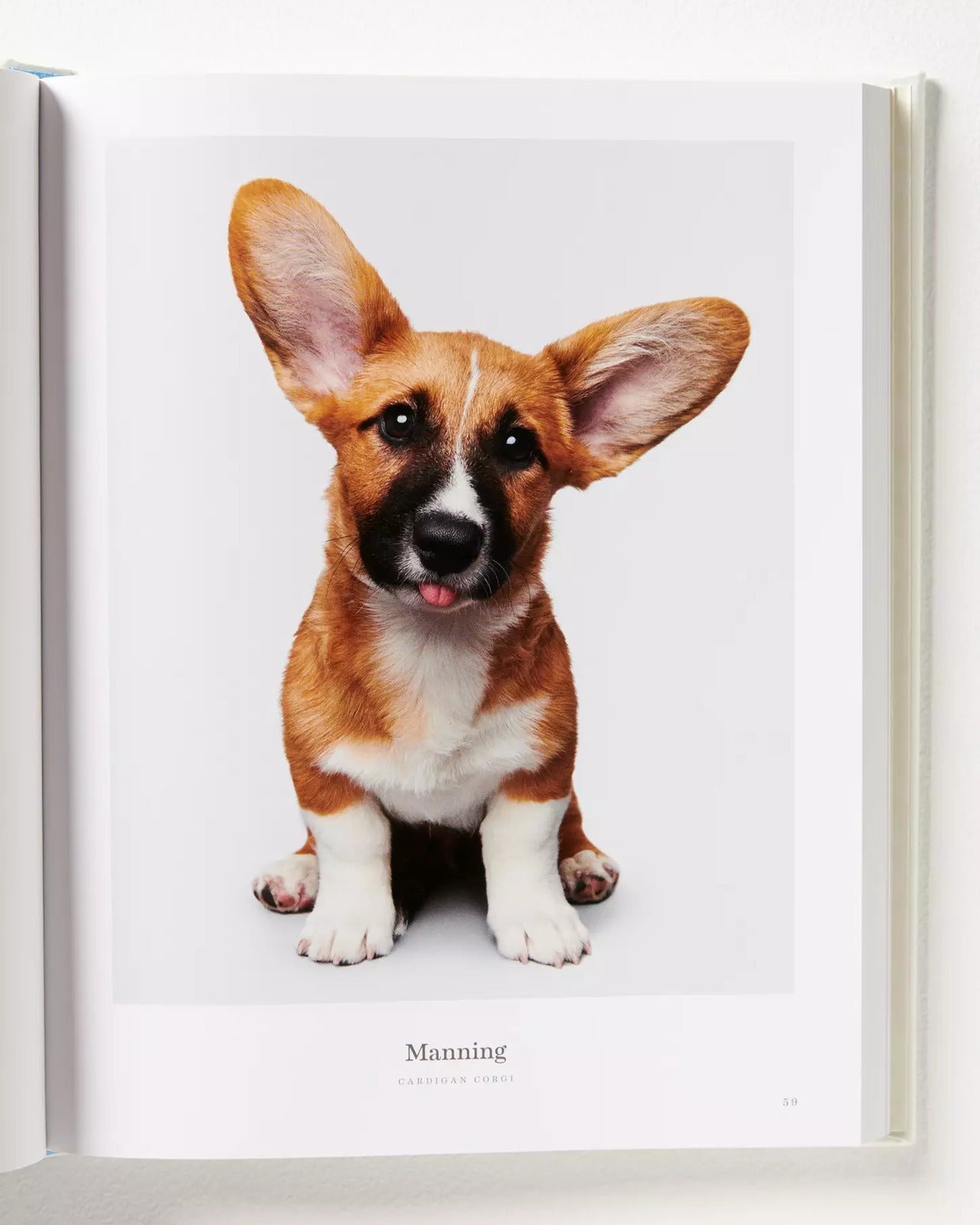 Good Dog Leather Coffee Table Book