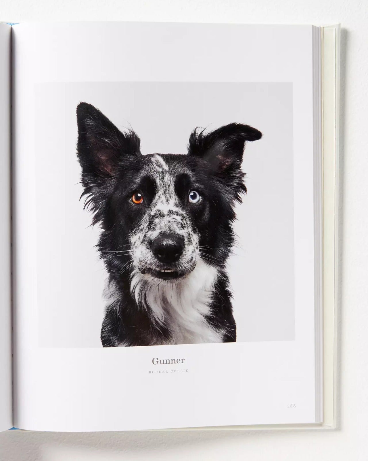 Good Dog Leather Coffee Table Book