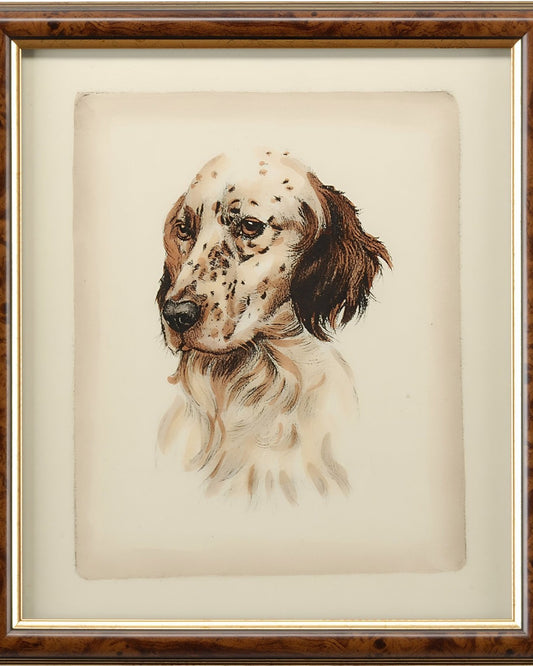 Lazlo Brown Setter Dog Brown Frame Illustration - 18x16