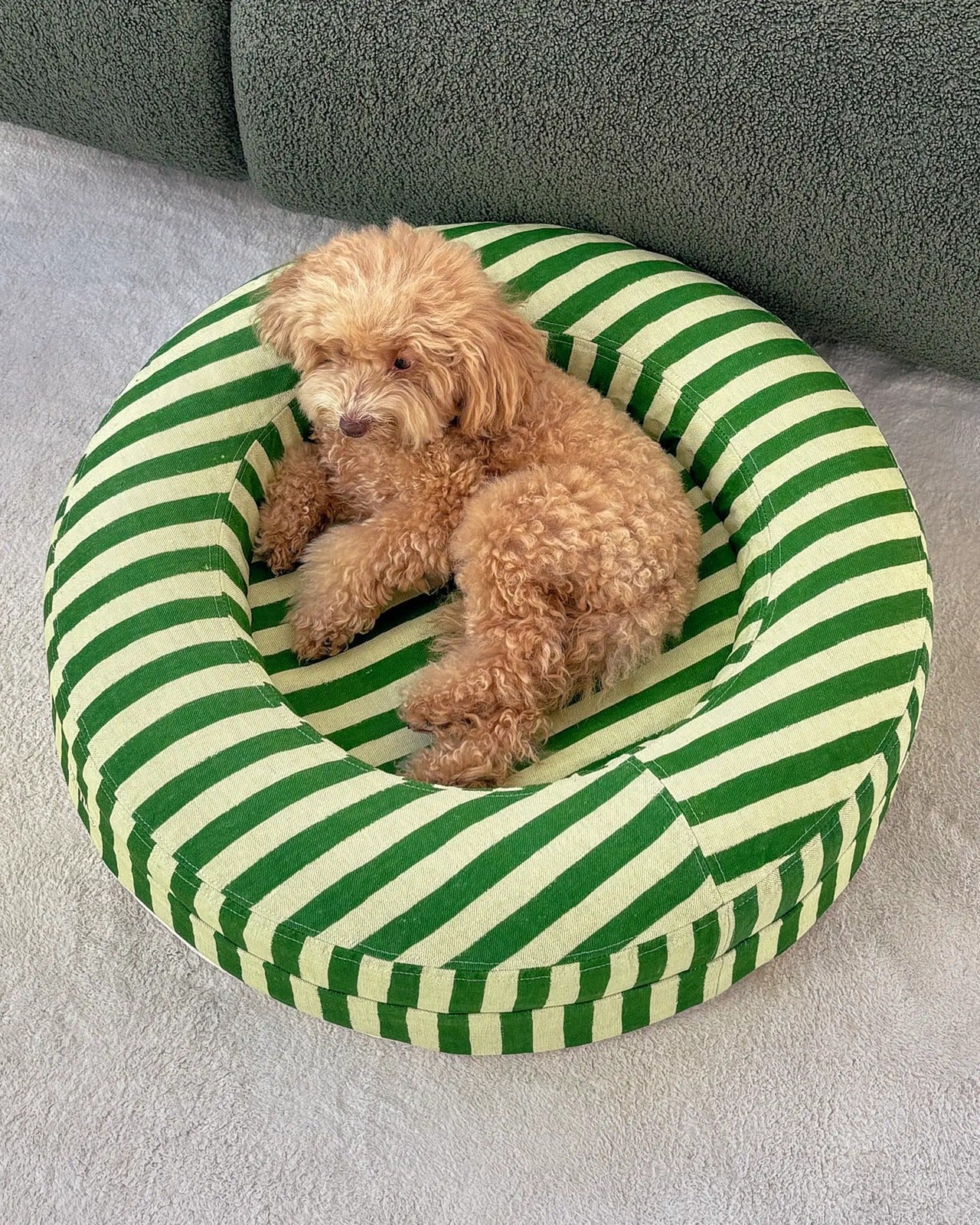 Linen Cover Curl