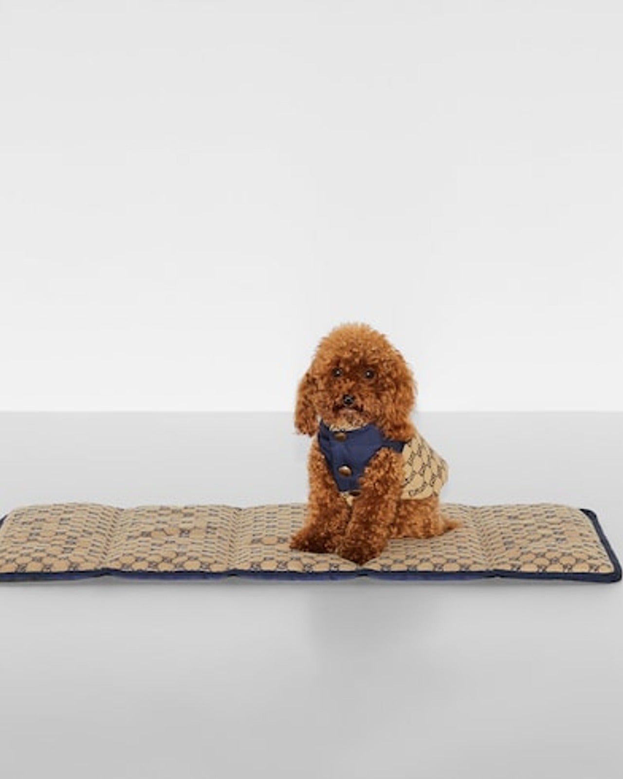 Reversible GG pet coat