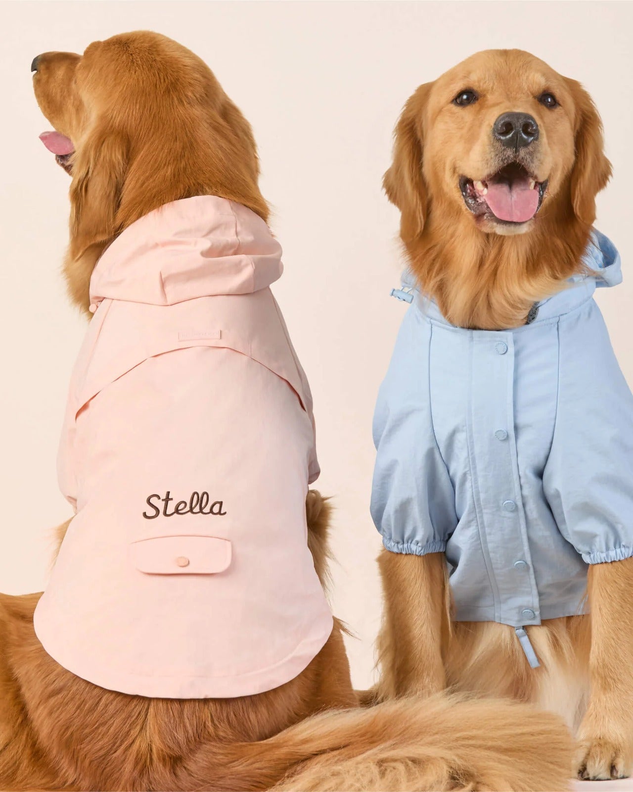 Sky Blue Dog Raincoat