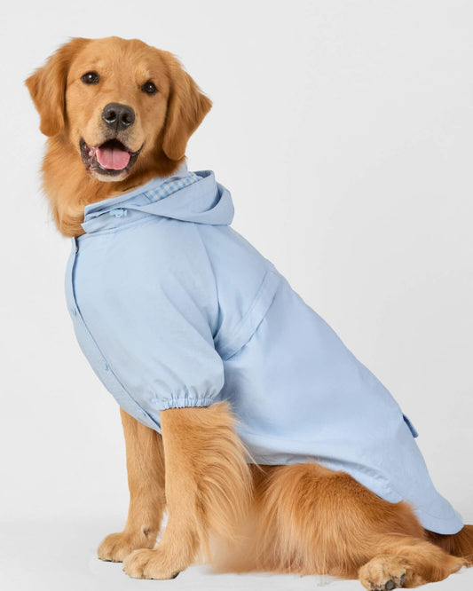 Sky Blue Dog Raincoat